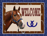 Sign Horse Welcome, Blue Paisley